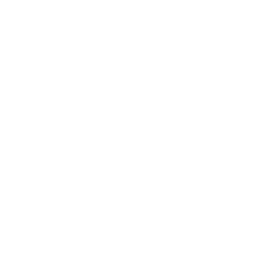 Councillor Interests